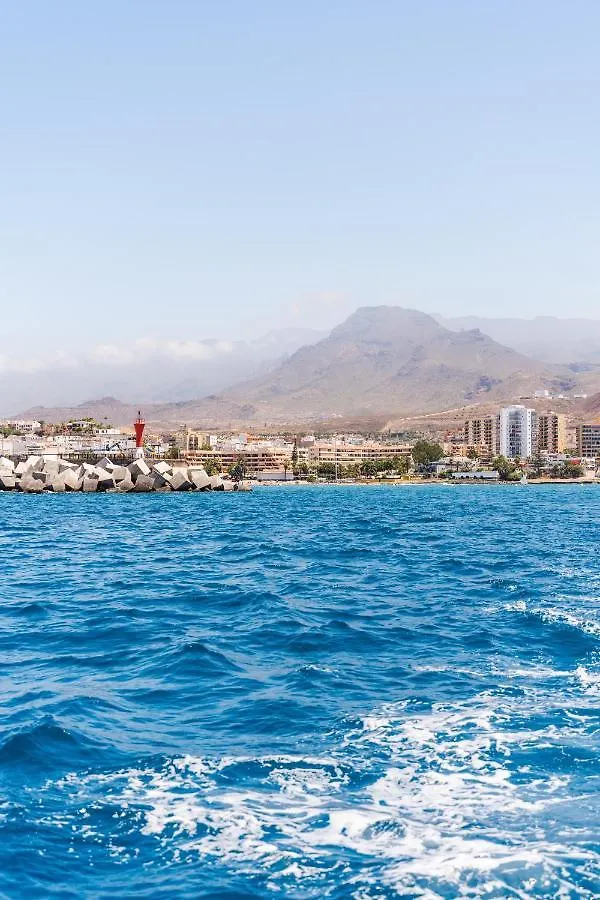 بيت شباب Ocean Nomads Coworking أرونا